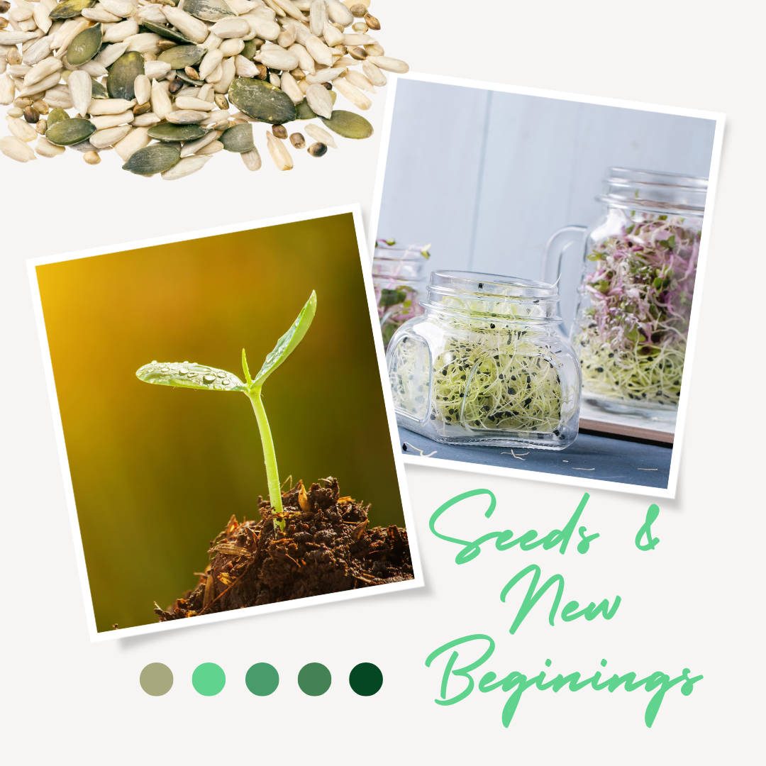 Moodboard showing seeds and jars with sprouted seeds